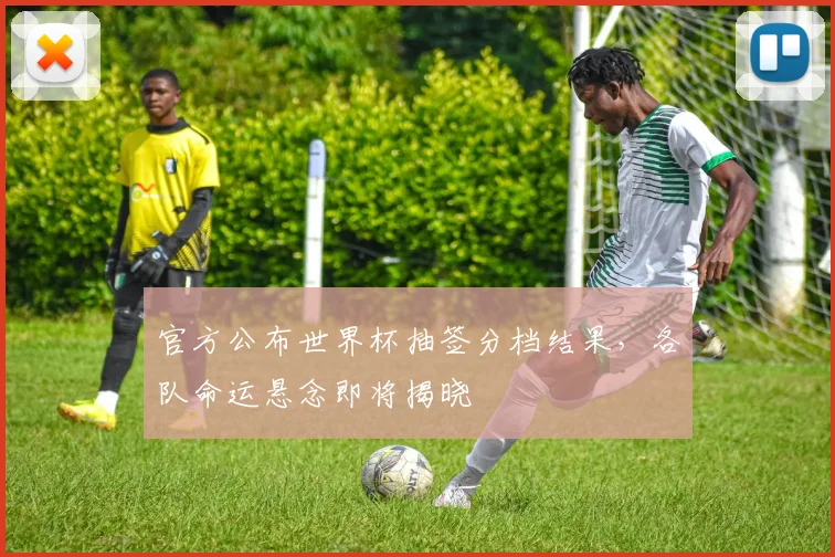 官方公布世界杯抽签分档结果，各队命运悬念即将揭晓