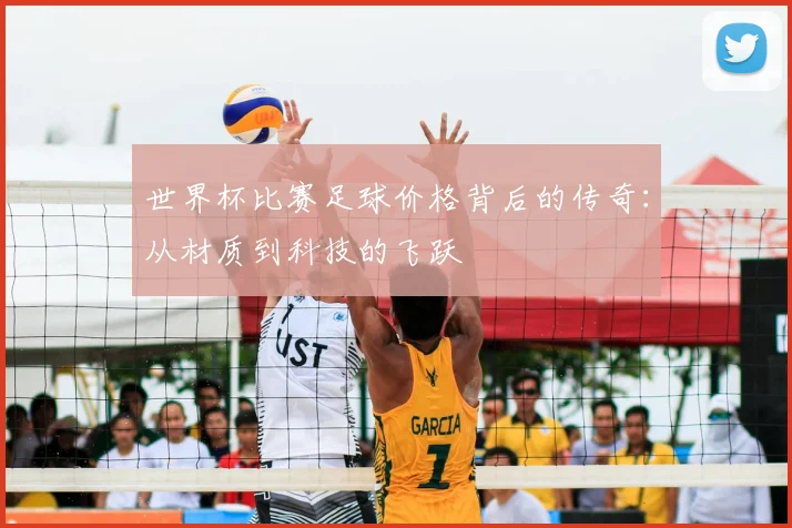世界杯比赛足球价格背后的传奇：从材质到科技的飞跃