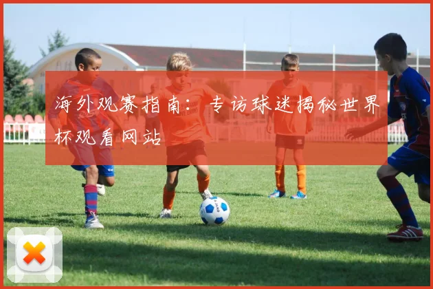 海外观赛指南：专访球迷揭秘世界杯观看网站