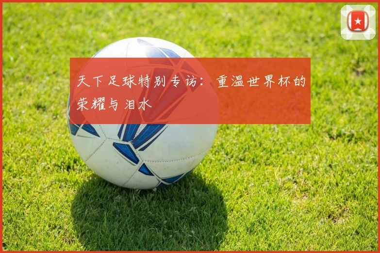 天下足球特别专访：重温世界杯的荣耀与泪水