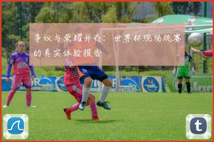 争议与荣耀并存：世界杯现场观赛的真实体验报告