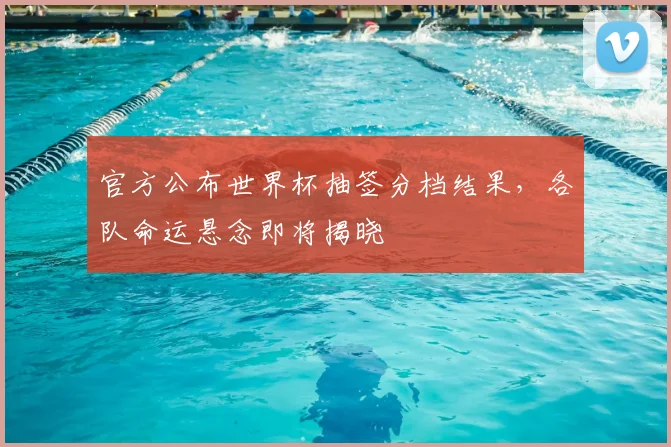 官方公布世界杯抽签分档结果，各队命运悬念即将揭晓