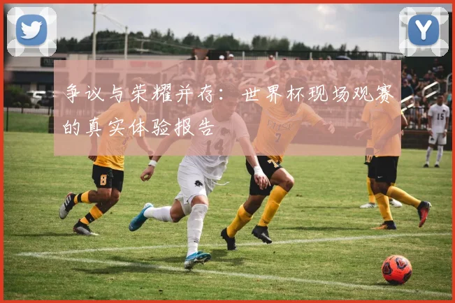 争议与荣耀并存：世界杯现场观赛的真实体验报告