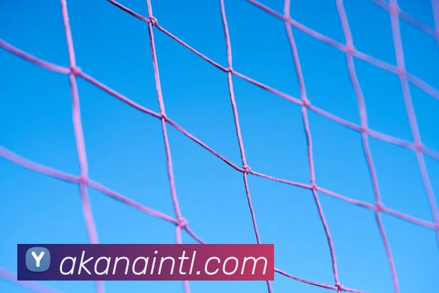 米乐网官网平台生态图