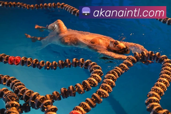 米乐网官网全站App